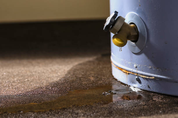 Best 24-hour water damage restoration  in Homestead Meadows North, TX