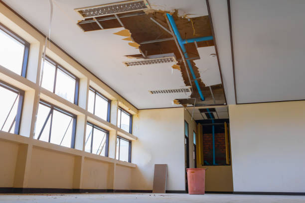 Water damage restoration insurance claims in Homestead Meadows North, TX