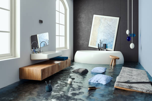 Best Professional water damage repair  in Homestead Meadows North, TX