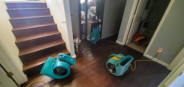 Best Fire Damage Restoration  in Homestead Meadows North, TX