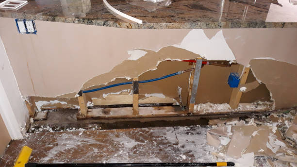 Best Fire Damage Restoration  in Homestead Meadows North, TX