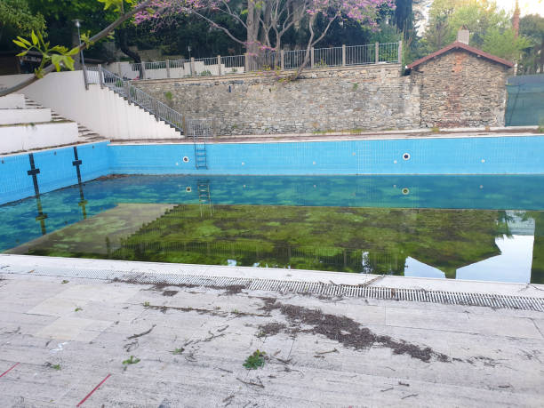 Best Flood restoration services  in Homestead Meadows North, TX