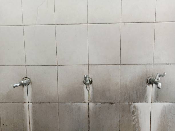 Best Basement water damage restoration  in Homestead Meadows North, TX