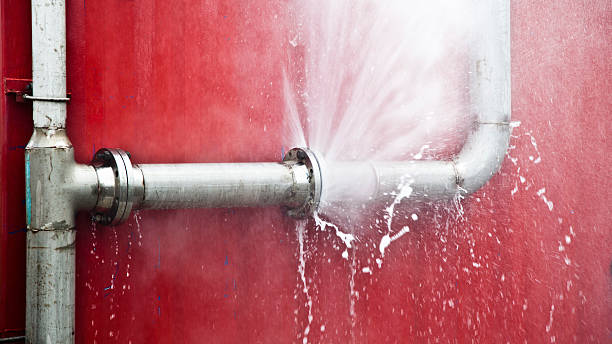 Best Carpet water damage restoration  in Homestead Meadows North, TX