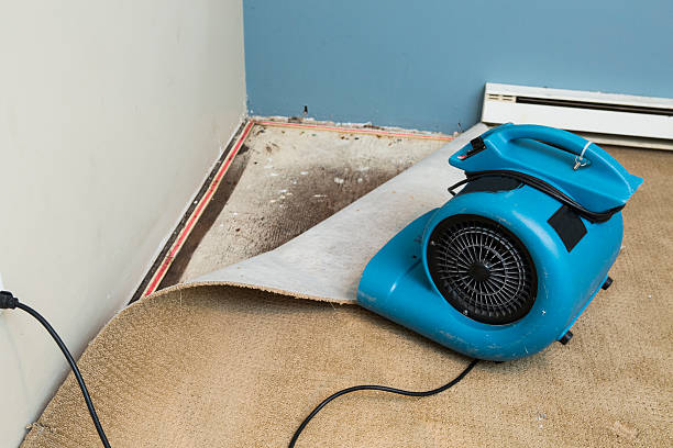 Best Flooded house restoration  in Homestead Meadows North, TX